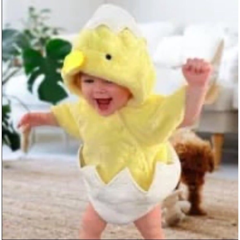 Pottery Barn little chick costume 0-6